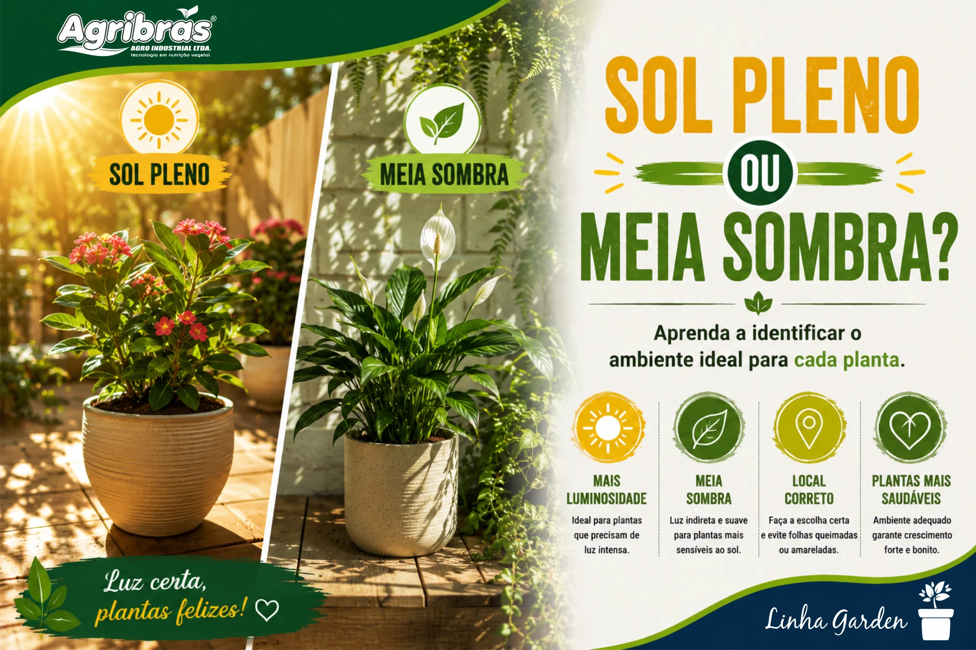 Sol pleno ou meia sombra?