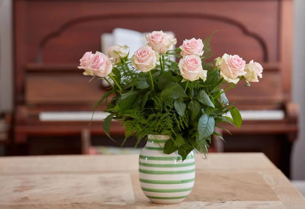 plantas ornamentais floridas cultivadas em vasos com adubação adequada