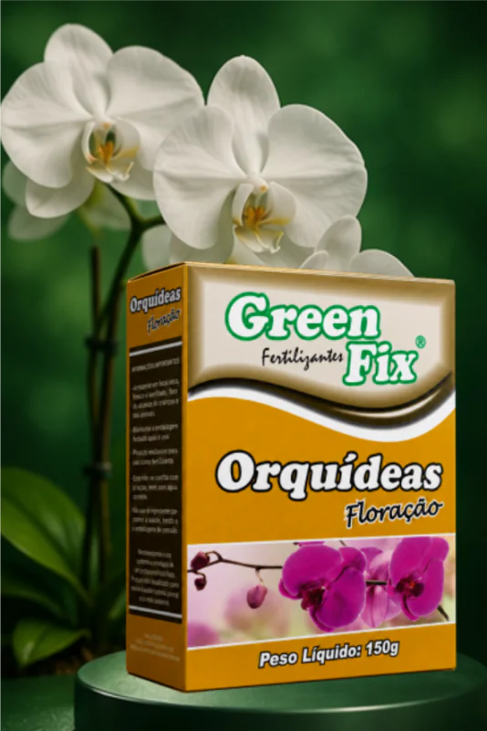 orquideas em fase de floracao com hastes florais e botoes vigorosos